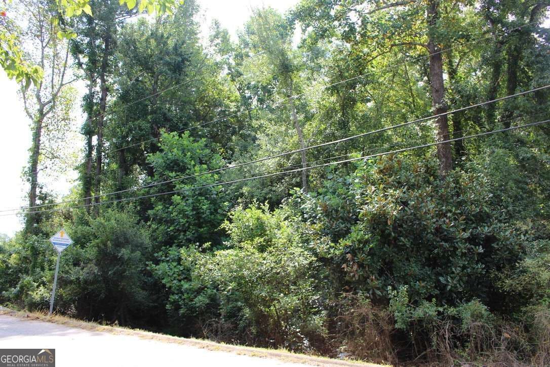 unimproved land for sale at 218 Ella Drive, Griffin, GA 30223 — photo 1 of 5