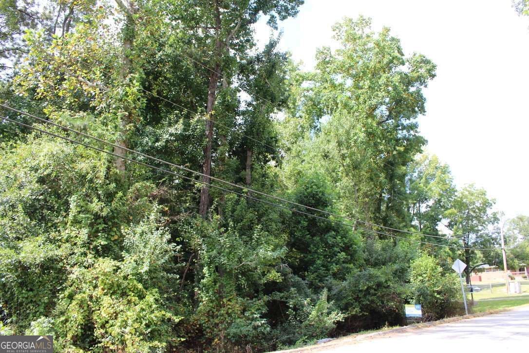 unimproved land for sale at 218 Ella Drive, Griffin, GA 30223 — photo 5