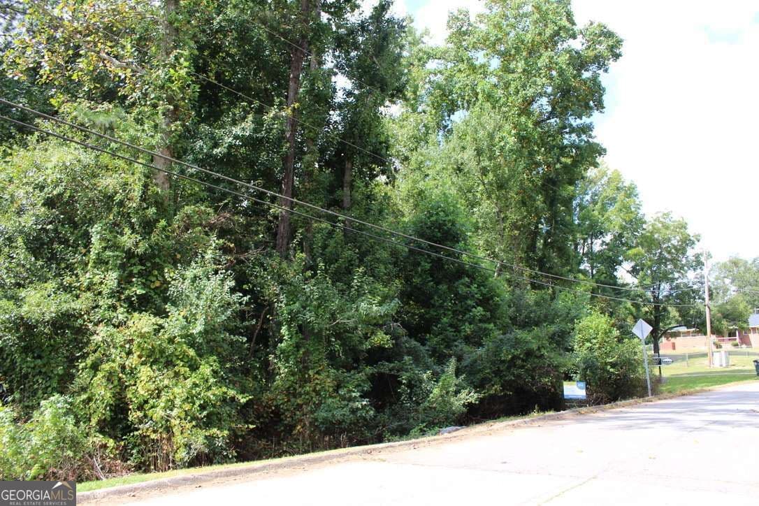 unimproved land for sale at 218 Ella Drive, Griffin, GA 30223 — photo 4