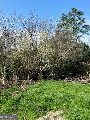 unimproved land for sale at 367 Pine Street, Unadilla, GA 31091 — photo 2