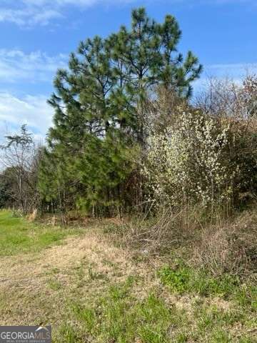 unimproved land for sale at 367 Pine Street, Unadilla, GA 31091 — photo 3