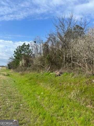 unimproved land for sale at 367 Pine Street, Unadilla, GA 31091 — photo 1 of 6