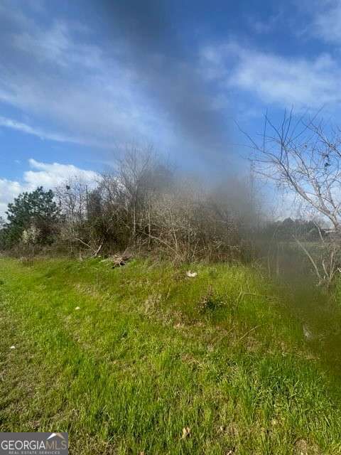 unimproved land for sale at 367 Pine Street, Unadilla, GA 31091 — photo 5