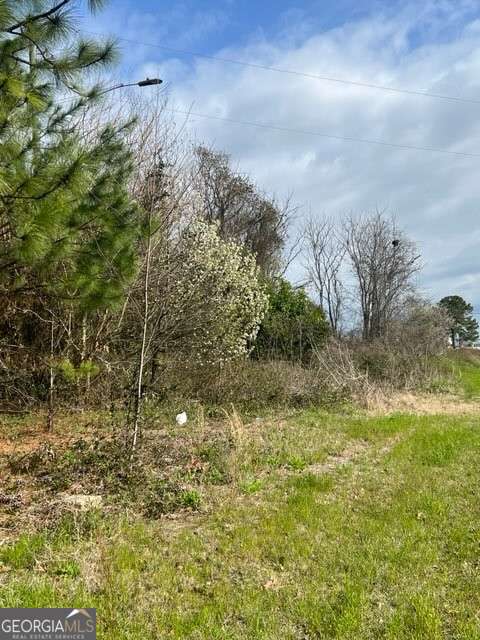 unimproved land for sale at 367 Pine Street, Unadilla, GA 31091 — photo 4