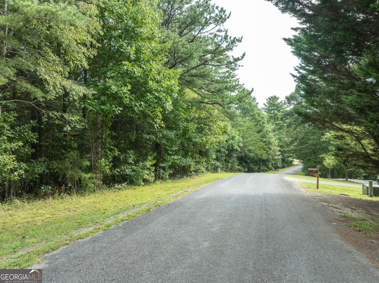 residential lot for sale at 25 Brookhaven Drive, Young Harris, GA 30582 — photo 6