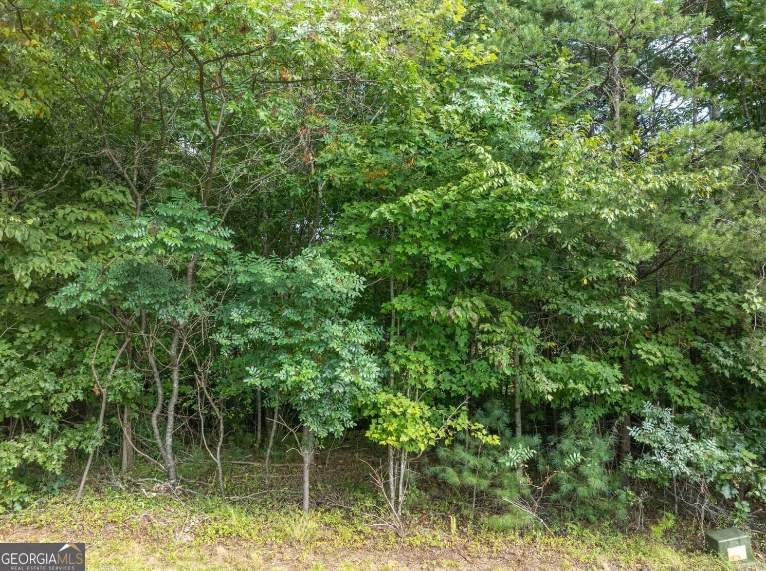 residential lot for sale at 25 Brookhaven Drive, Young Harris, GA 30582 — photo 7