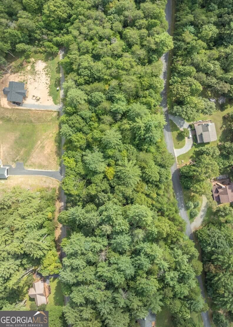 residential lot for sale at 25 Brookhaven Drive, Young Harris, GA 30582 — photo 3