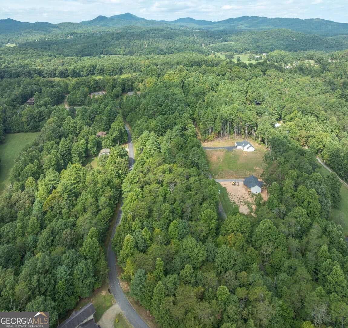 residential lot for sale at 25 Brookhaven Drive, Young Harris, GA 30582 — photo 5