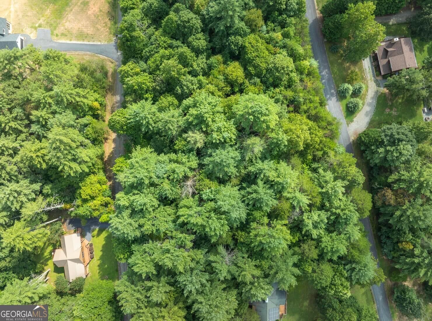 residential lot for sale at 25 Brookhaven Drive, Young Harris, GA 30582 — photo 4