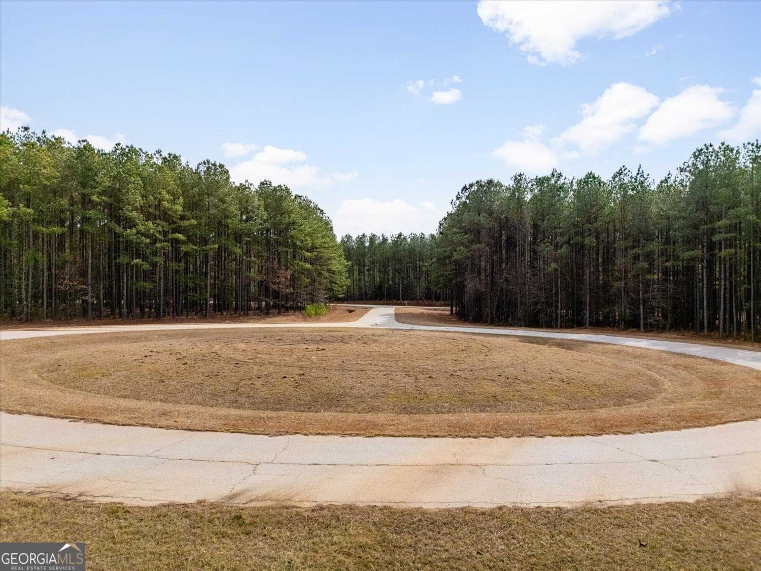 residential lot for sale at 1343 Magnolia Court, Tignall, GA 30668 — photo 6