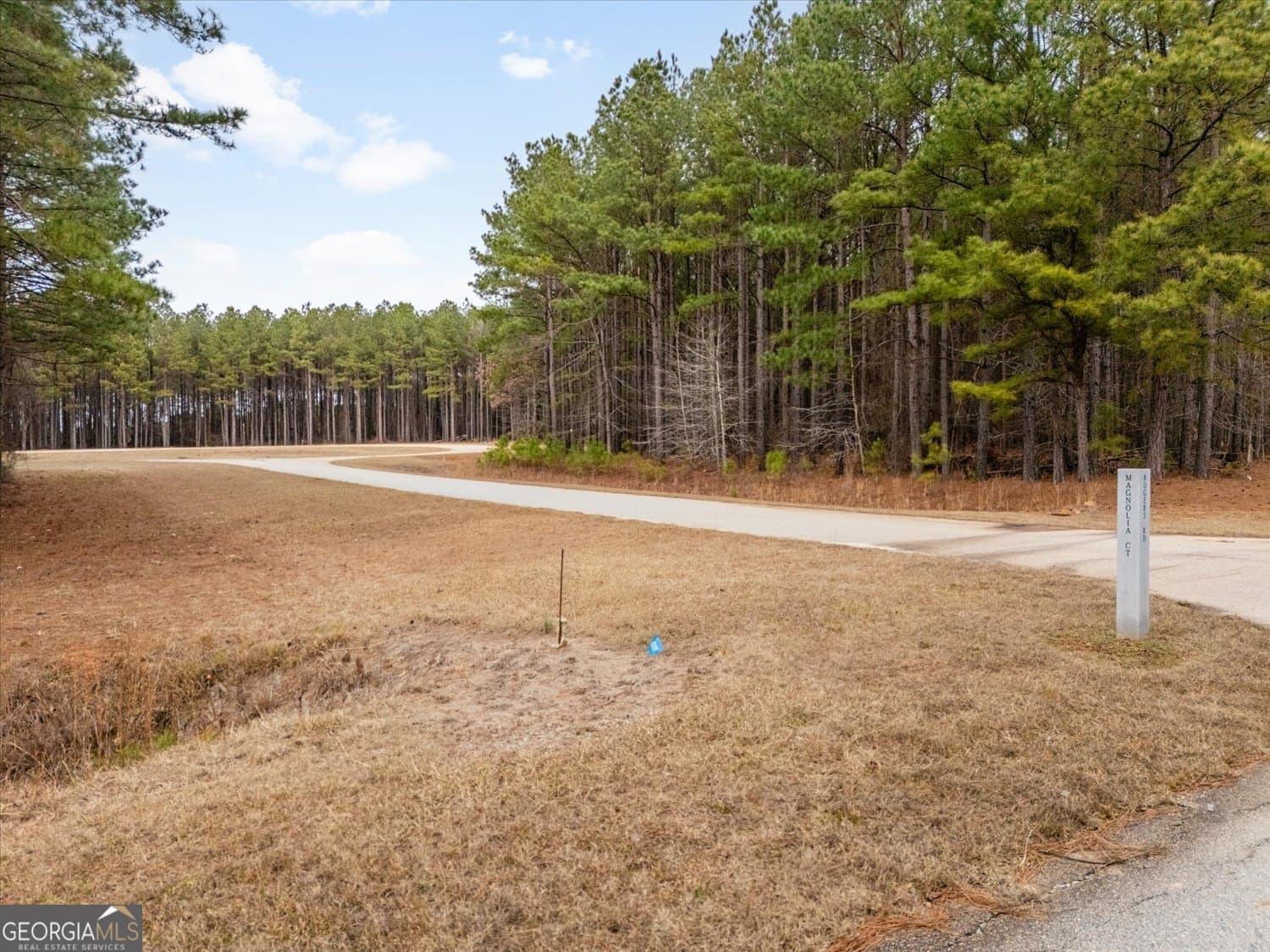 residential lot for sale at 1343 Magnolia Court, Tignall, GA 30668 — photo 3