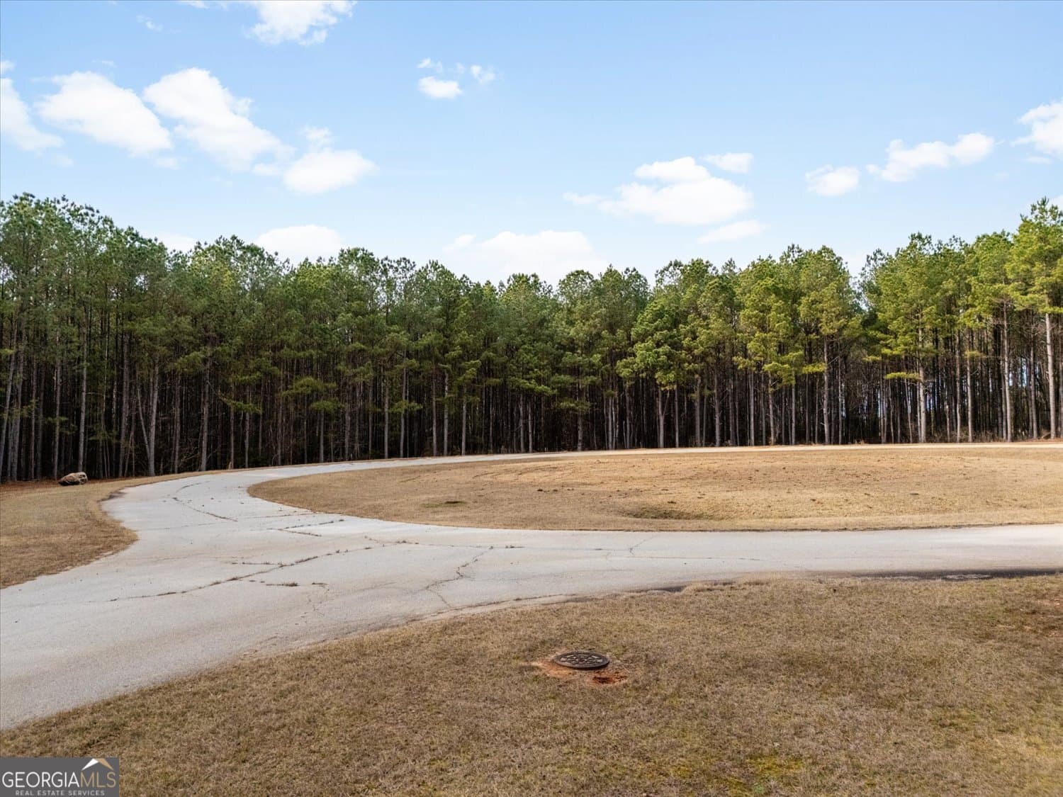 residential lot for sale at 1343 Magnolia Court, Tignall, GA 30668 — photo 5
