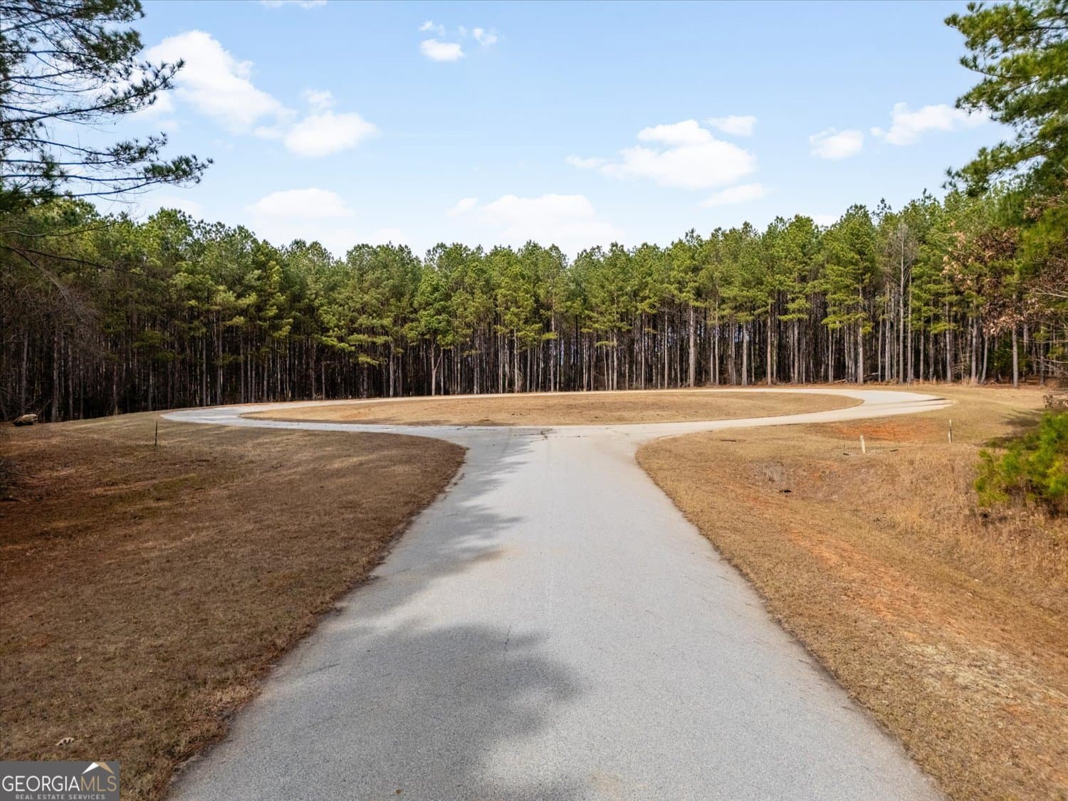 residential lot for sale at 1343 Magnolia Court, Tignall, GA 30668 — photo 4