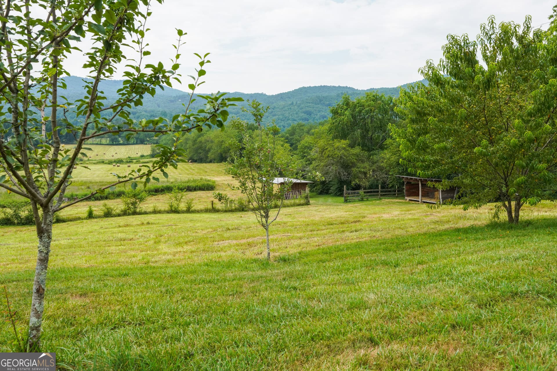 1 bedroom, 1 bathroom, 800 sq ft farm for sale at 5192 Wolffork Road, Rabun Gap, GA 30568 — photo 10