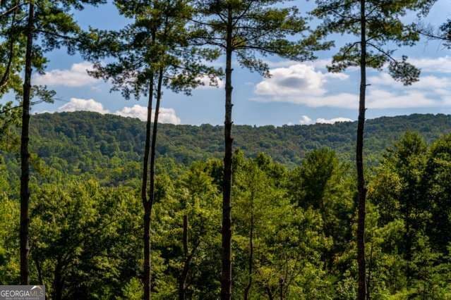 3 bedroom, 3 bathroom, 2,568 sq ft cabin,single family residence for sale at 58 Papa Bear Path, Blue Ridge, GA 30513 — photo 2