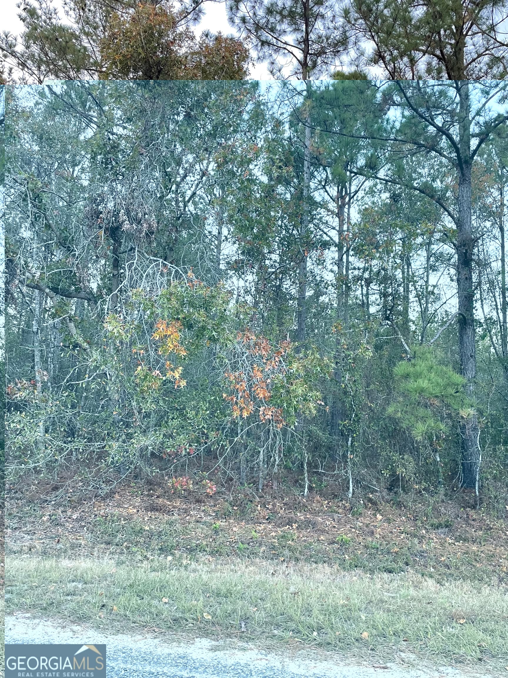 residential lot for sale at 0 Shuffletown Road, Twin City, GA 30471 — photo 2