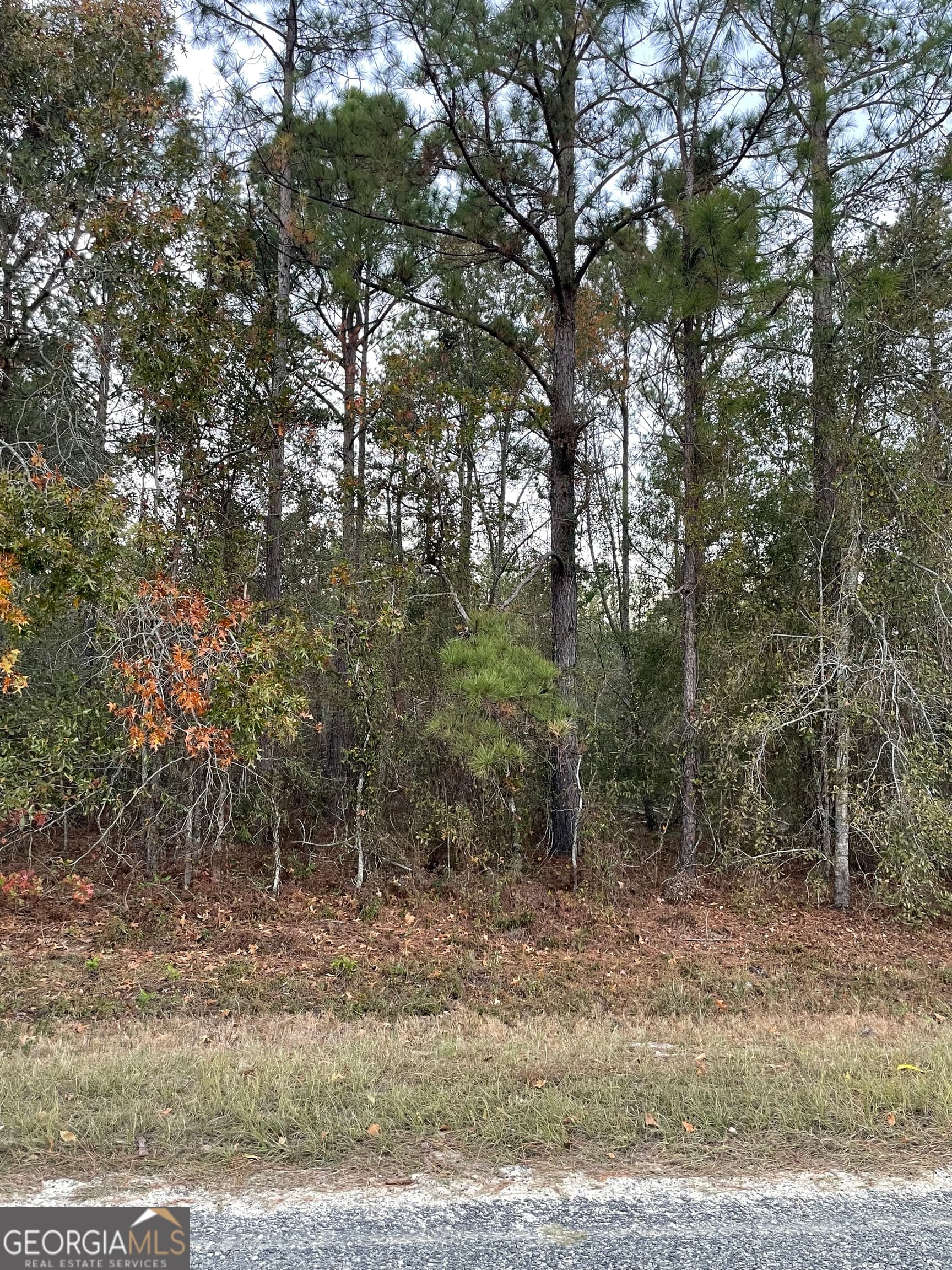 residential lot for sale at 0 Shuffletown Road, Twin City, GA 30471 — photo 3