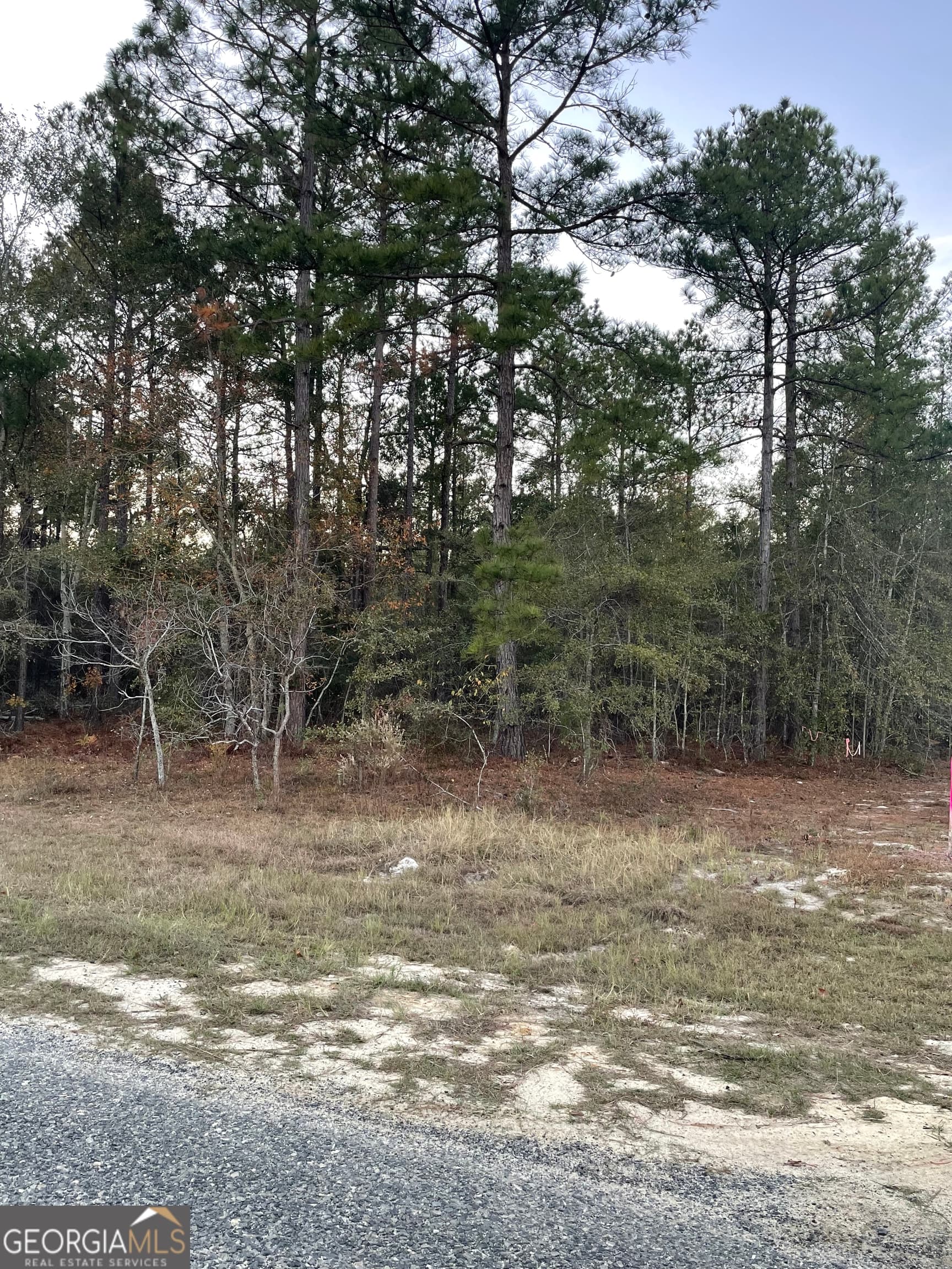 residential lot for sale at 0 Shuffletown Road, Twin City, GA 30471 — photo 4