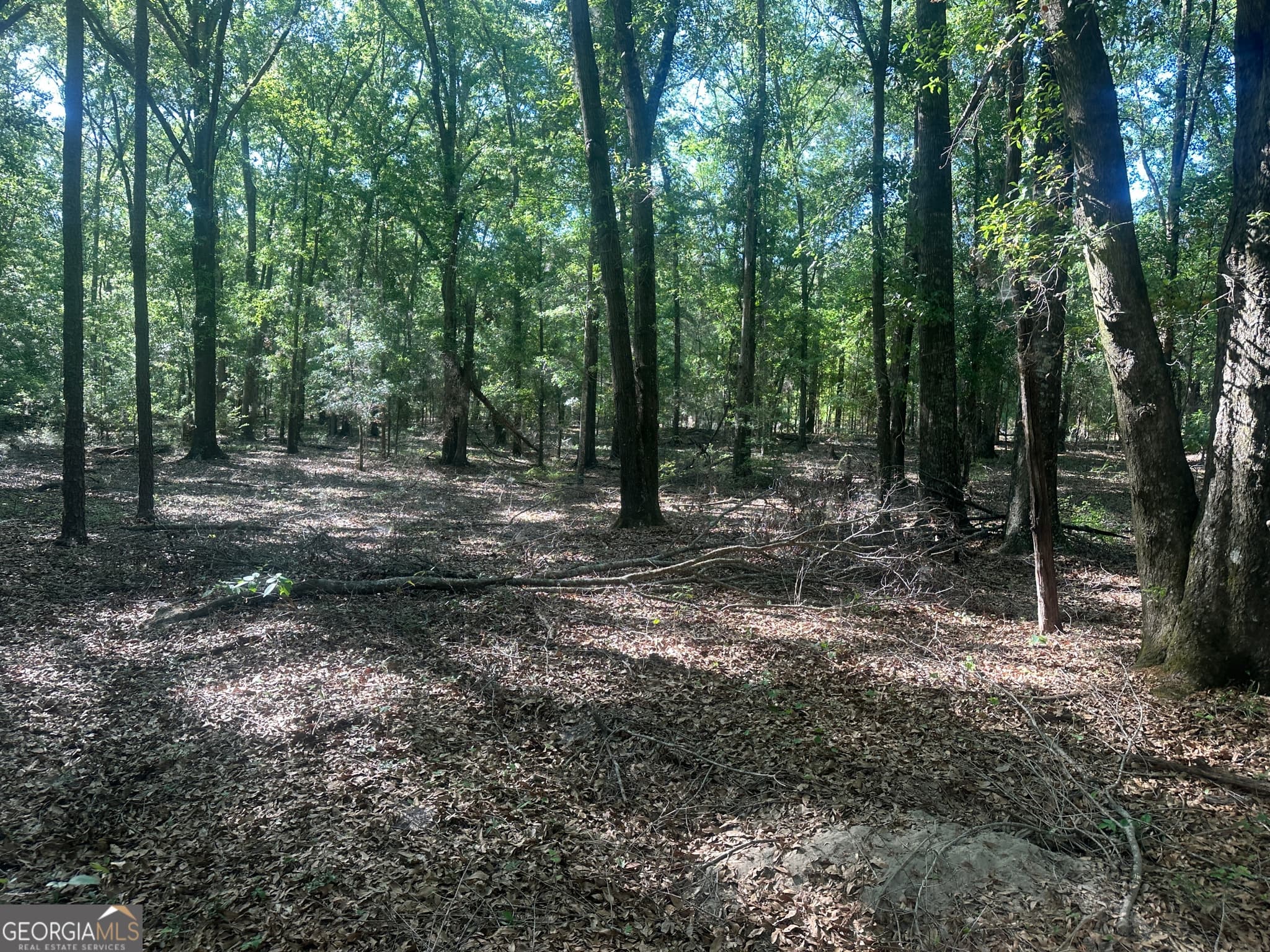 residential lot for sale at 0 Burtons Ferry Highway, Sylvania, GA 30467 — photo 2