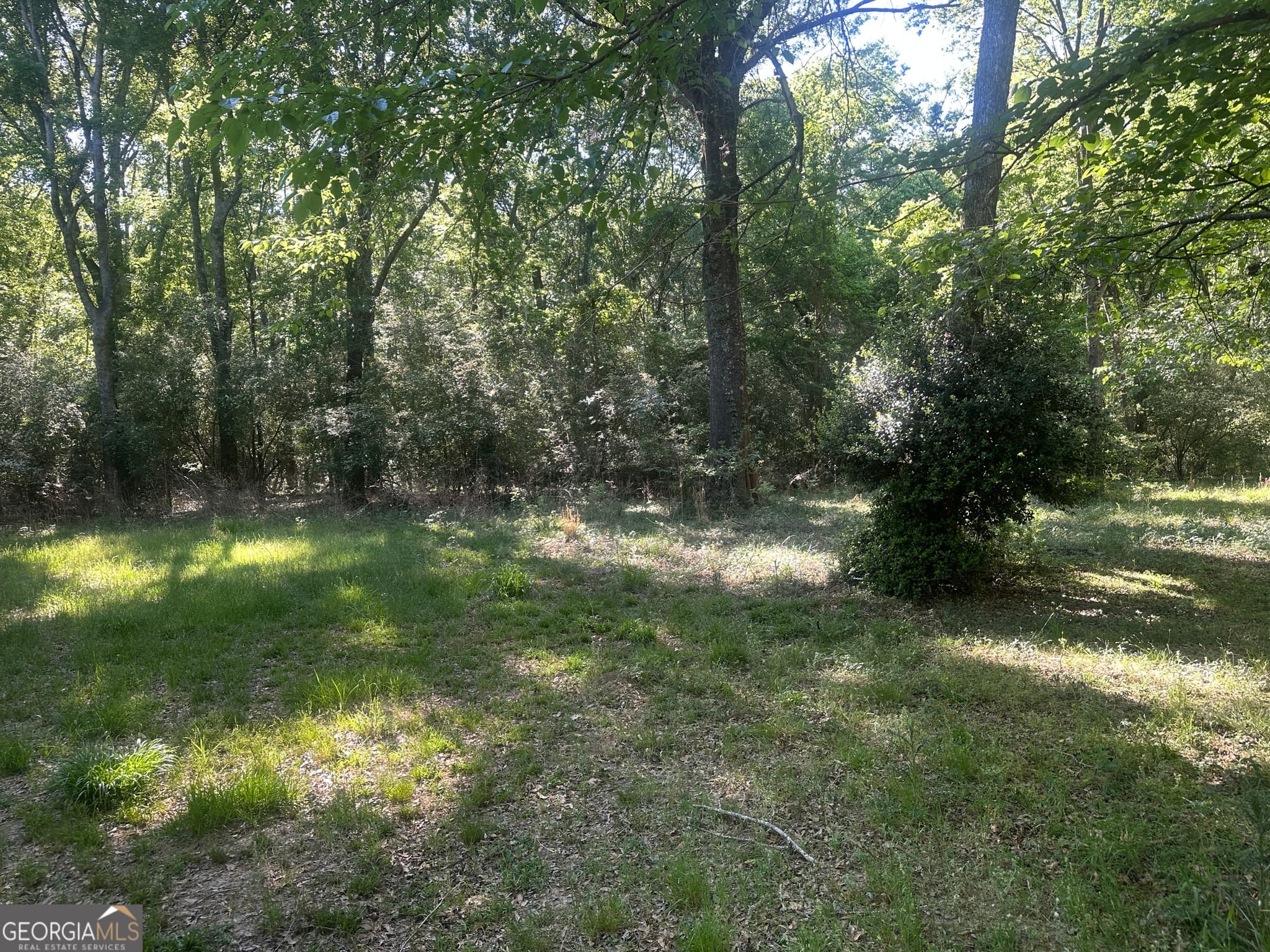 residential lot for sale at 0 Burtons Ferry Highway, Sylvania, GA 30467 — photo 6