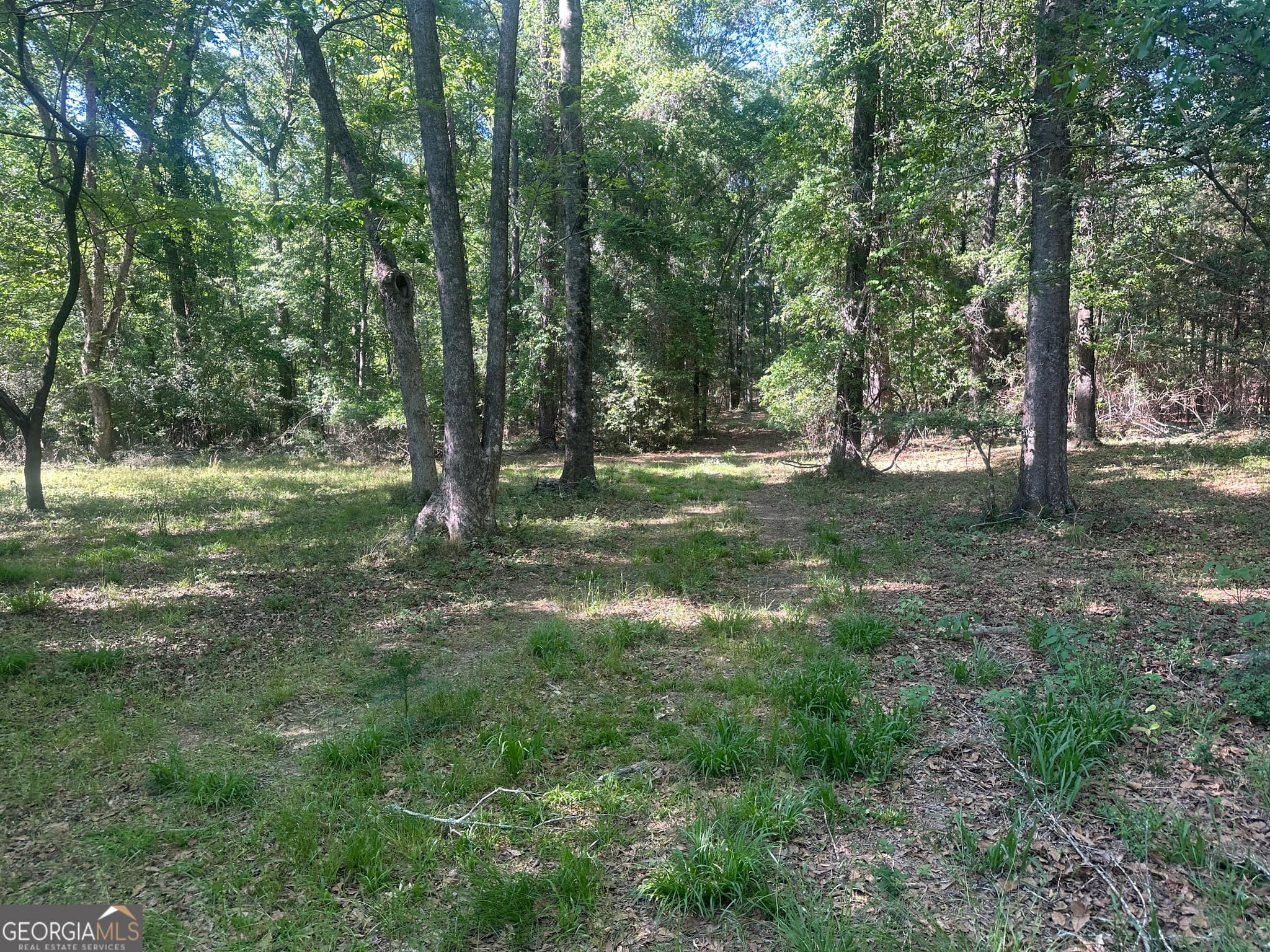 residential lot for sale at 0 Burtons Ferry Highway, Sylvania, GA 30467 — photo 7