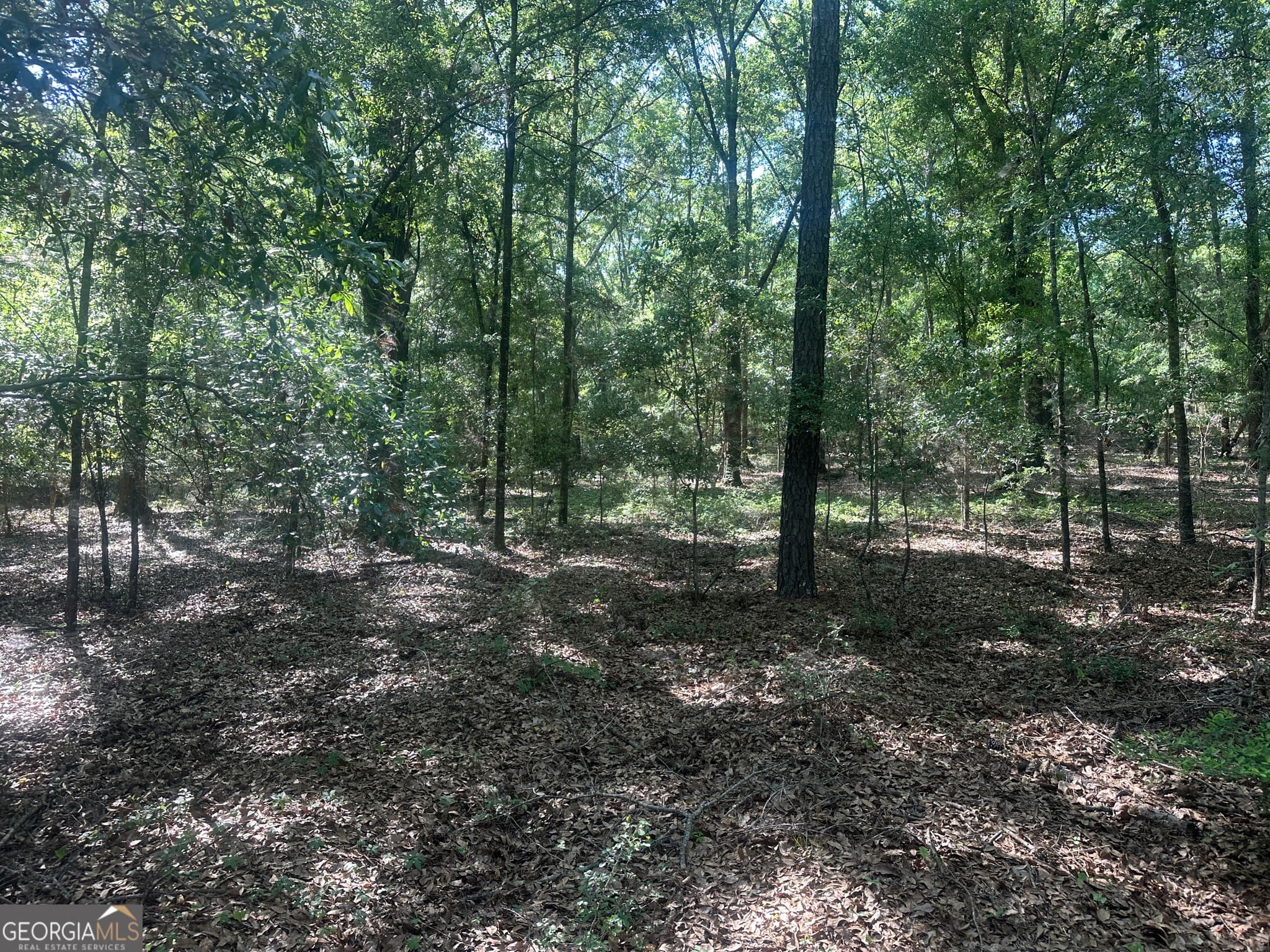 residential lot for sale at 0 Burtons Ferry Highway, Sylvania, GA 30467 — photo 3
