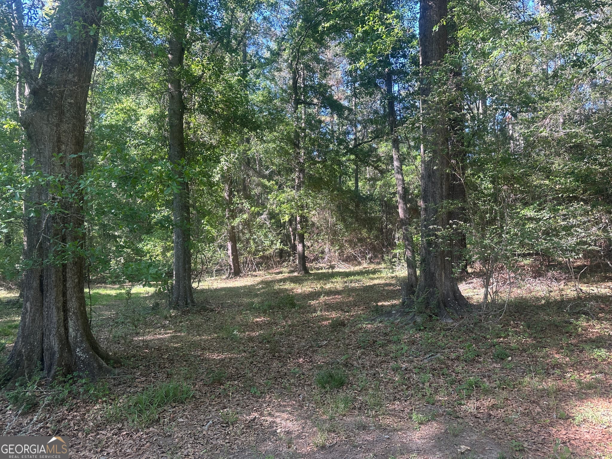 residential lot for sale at 0 Burtons Ferry Highway, Sylvania, GA 30467