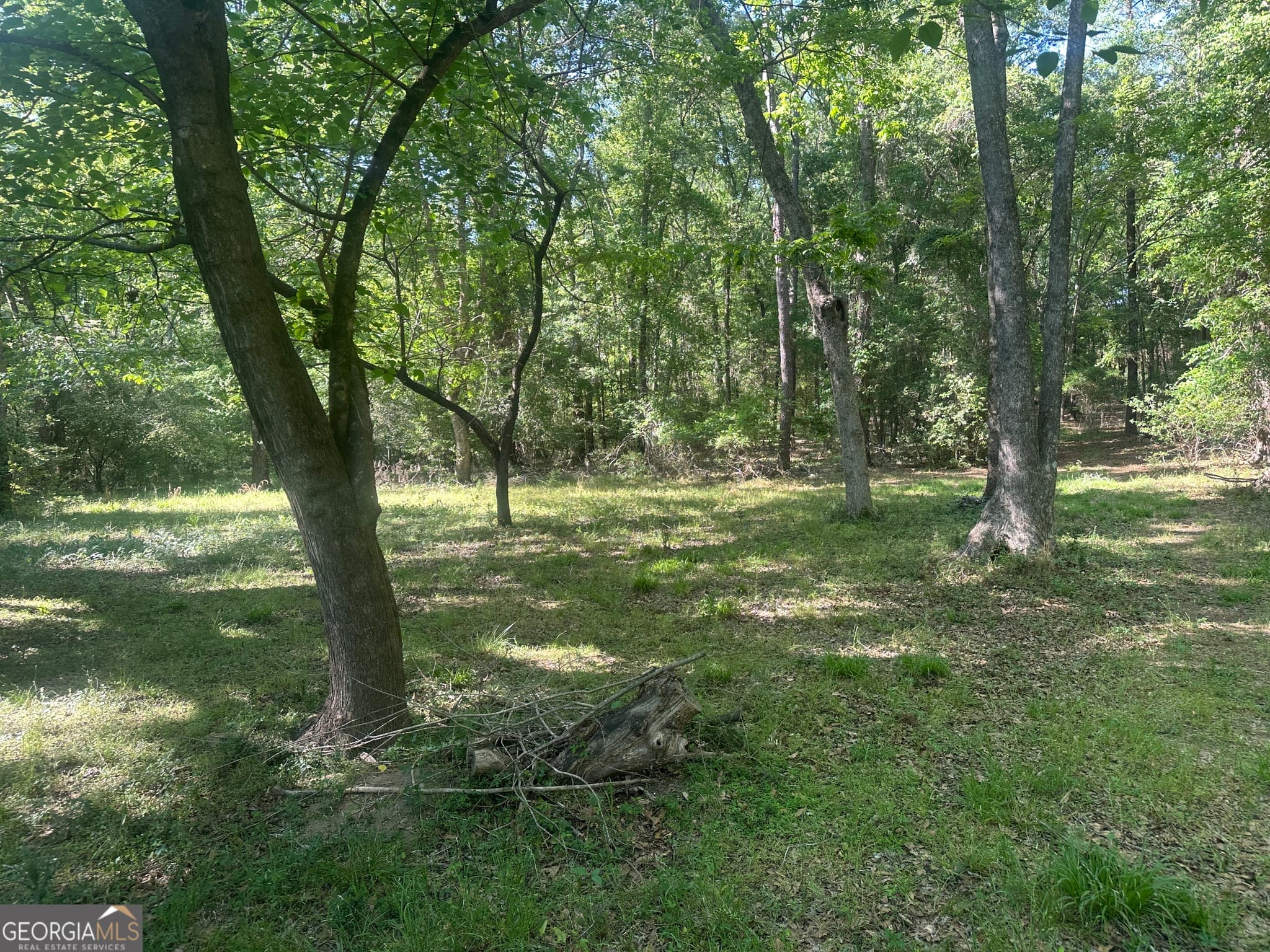 residential lot for sale at 0 Burtons Ferry Highway, Sylvania, GA 30467 — photo 5