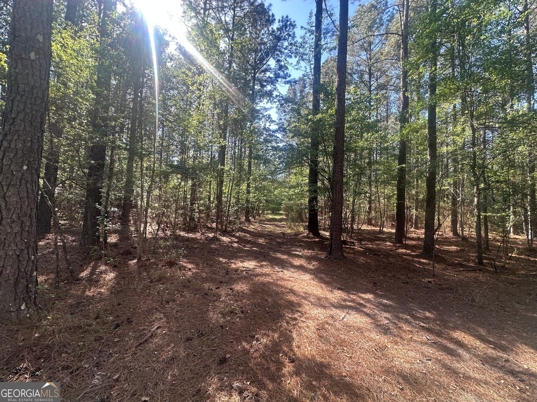 residential lot for sale at 0 Burtons Ferry Highway, Sylvania, GA 30467 — photo 9