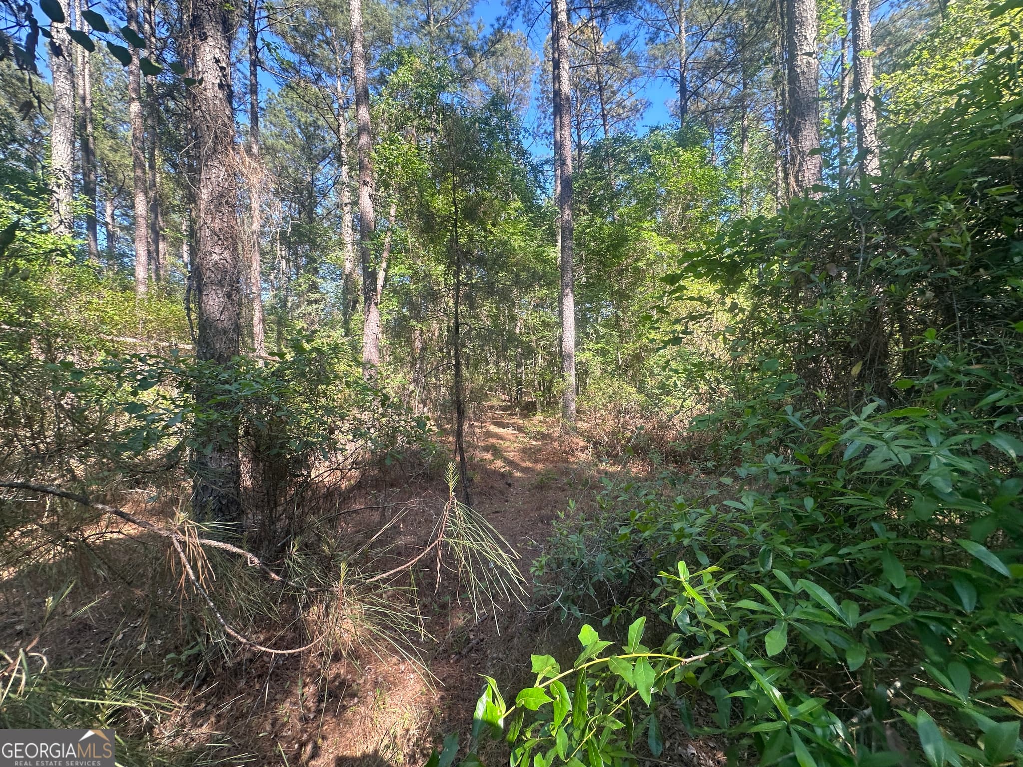 residential lot for sale at 0 Burtons Ferry Highway, Sylvania, GA 30467 — photo 10