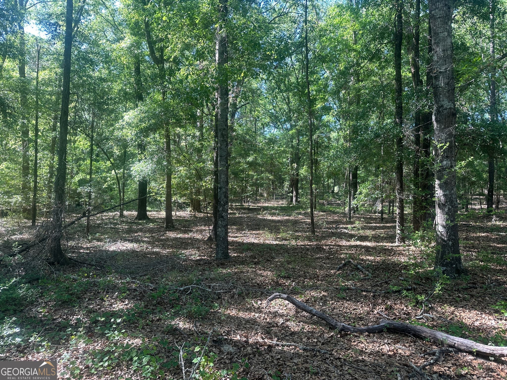 residential lot for sale at 0 Burtons Ferry Highway, Sylvania, GA 30467 — photo 4