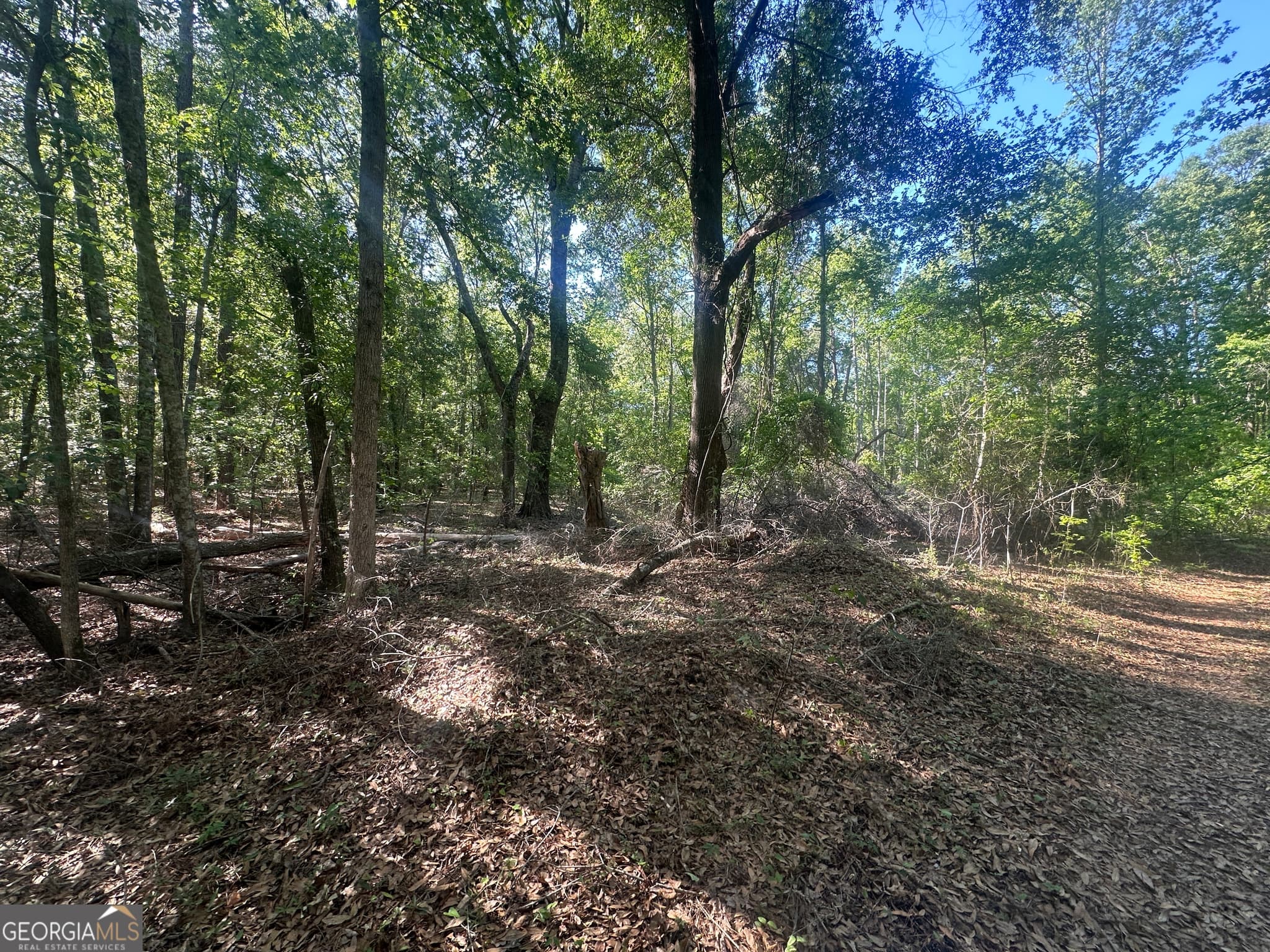 residential lot for sale at 0 Burtons Ferry Highway, Sylvania, GA 30467 — photo 8