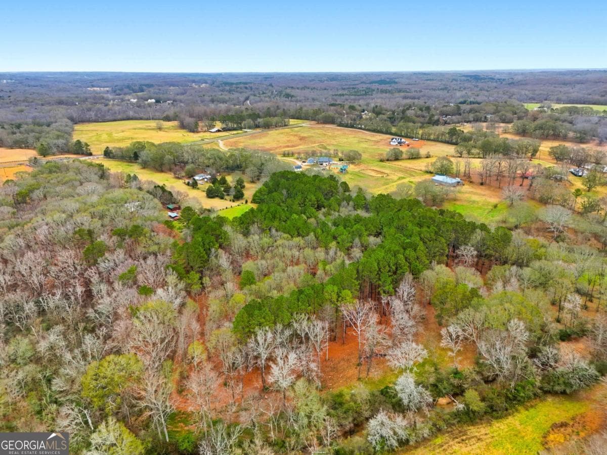 agriculture for sale at 1295 Double Bridge Road, Winder, GA 30680 — photo 2