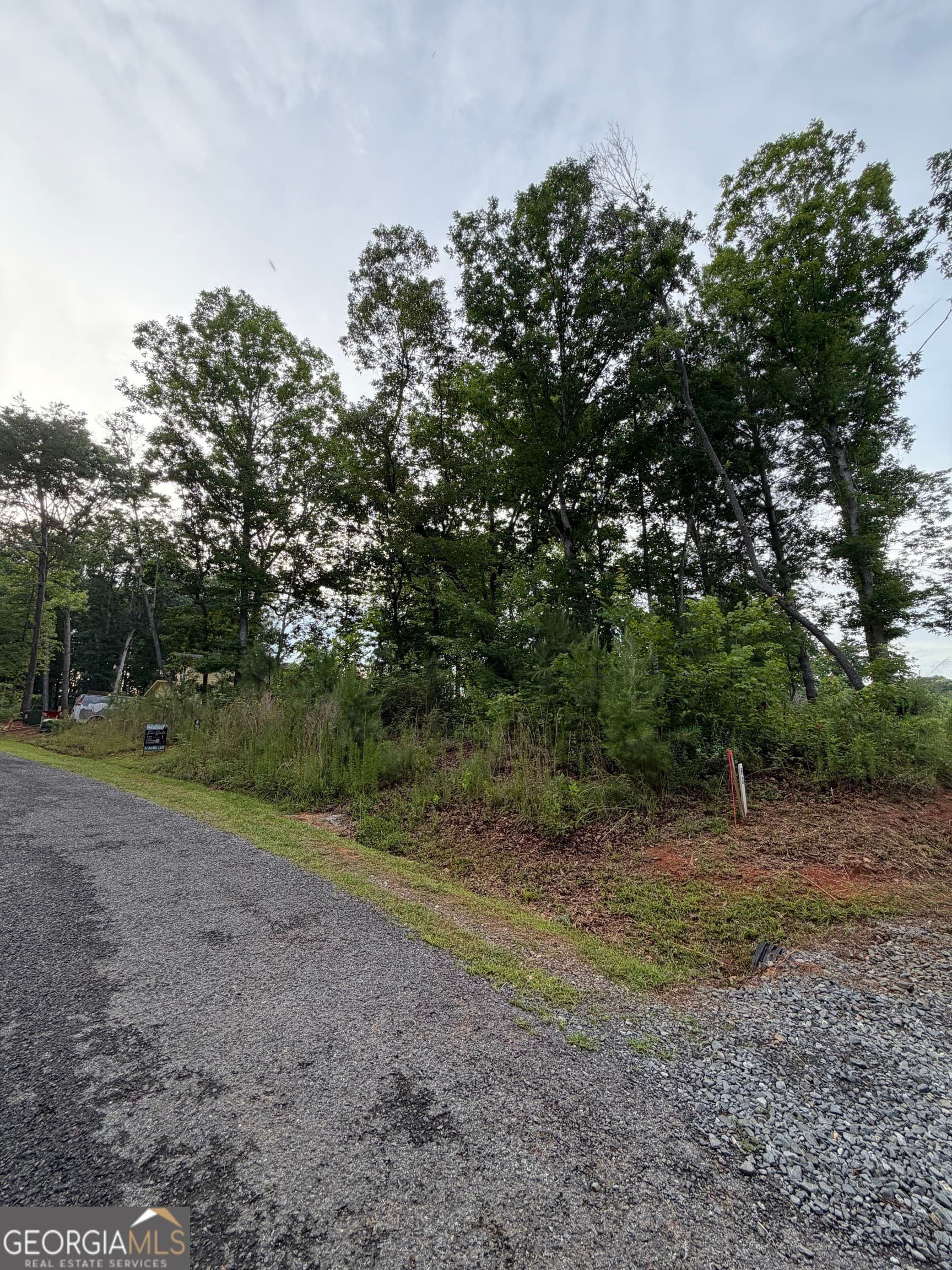 residential lot for sale at 0 Faith Court LOT 79, Ellijay, GA 30540 — photo 2