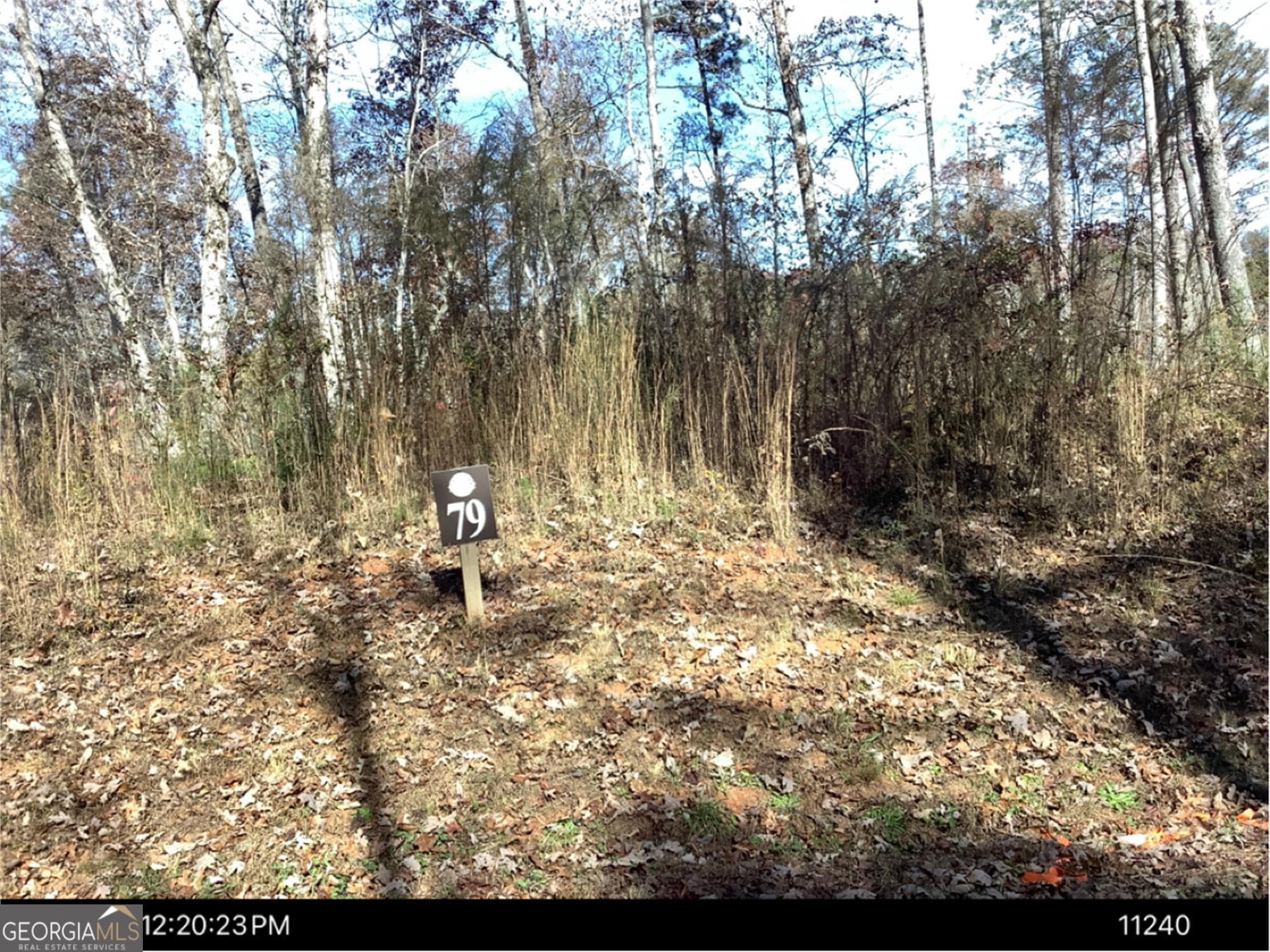 residential lot for sale at 0 Faith Court LOT 79, Ellijay, GA 30540 — photo 7