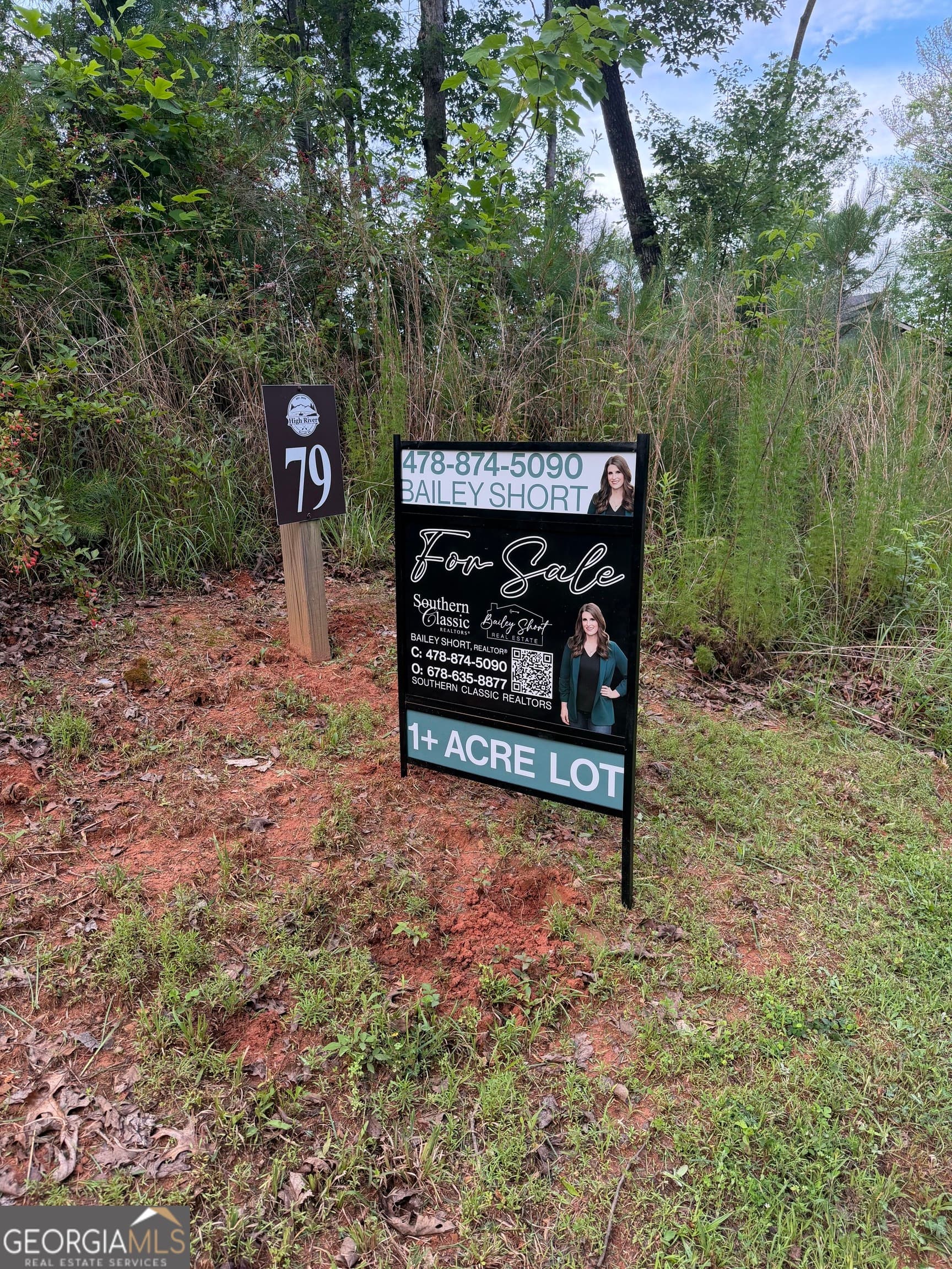residential lot for sale at 0 Faith Court LOT 79, Ellijay, GA 30540 — photo 5