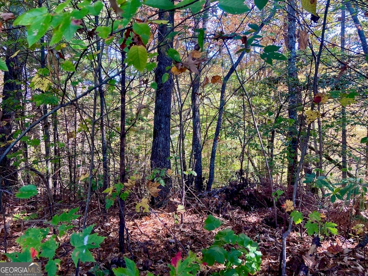 residential lot for sale at 0 Uplander Court, Rabun Gap, GA 30568 — photo 2