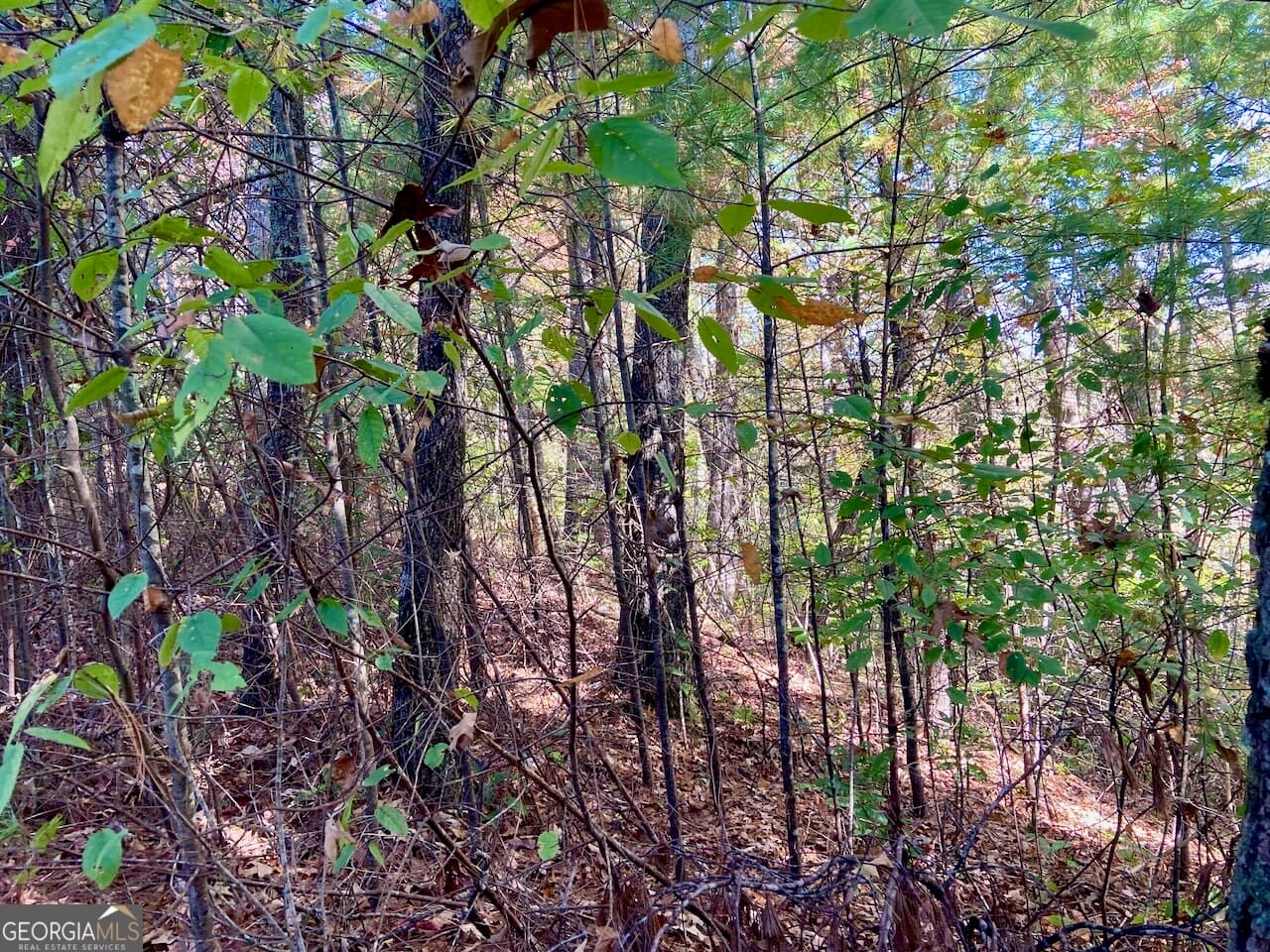 residential lot for sale at 0 Uplander Court, Rabun Gap, GA 30568 — photo 3