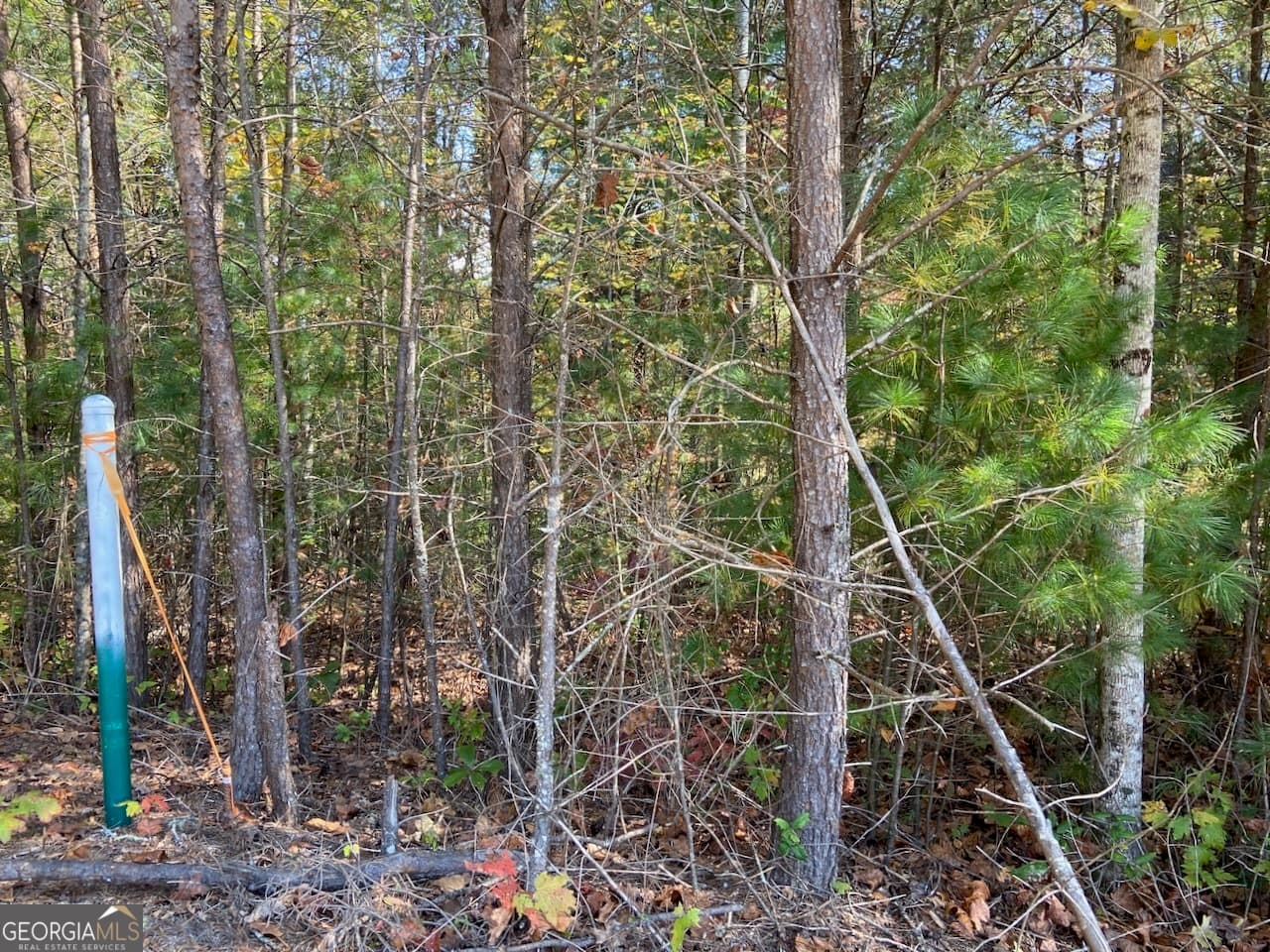 residential lot for sale at 0 Uplander Court, Rabun Gap, GA 30568 — photo 5