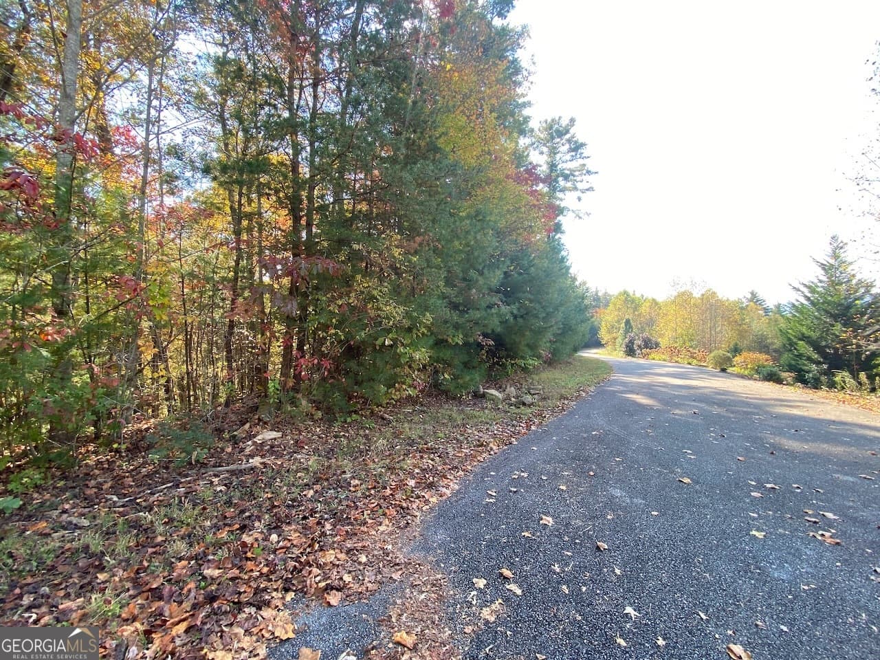 residential lot for sale at 0 Uplander Court, Rabun Gap, GA 30568 — photo 8