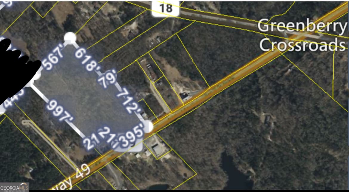 agriculture for sale at 0 GA Hwy 49, Macon, GA 31211 — photo 2