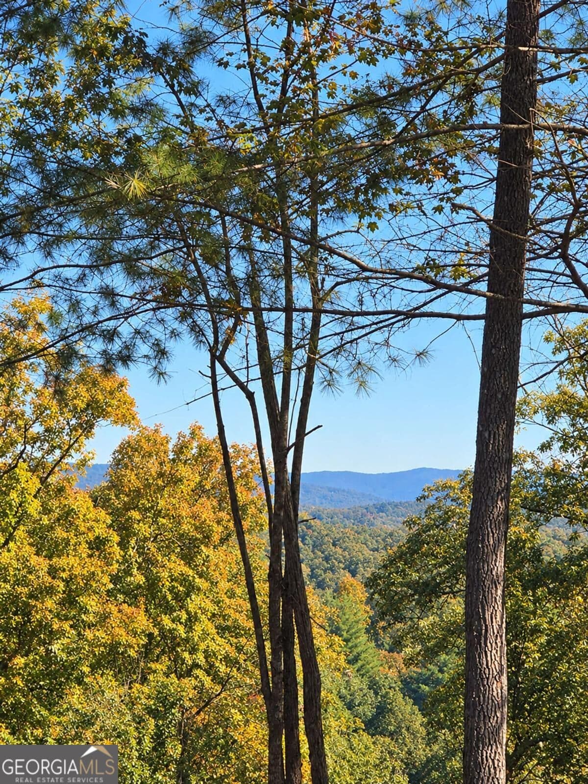 3 bedroom, 2.5 bathroom, 2,700 sq ft cabin,single family residence for sale at LOT B6 Bentwood Lane, Blue Ridge, GA 30513 — photo 2
