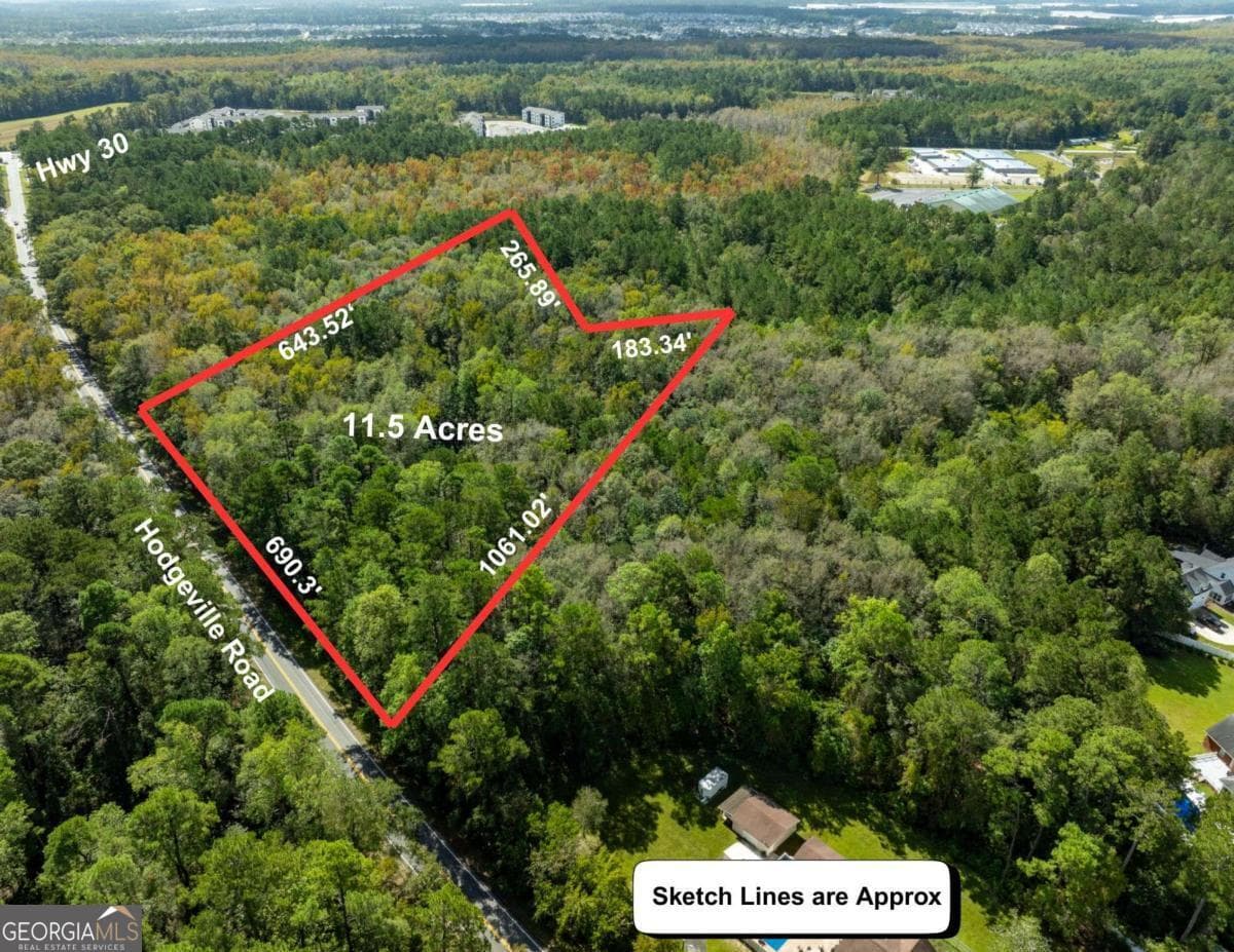 unimproved land for sale at 0 Hodgeville Road, Rincon, GA 31326 — photo 2