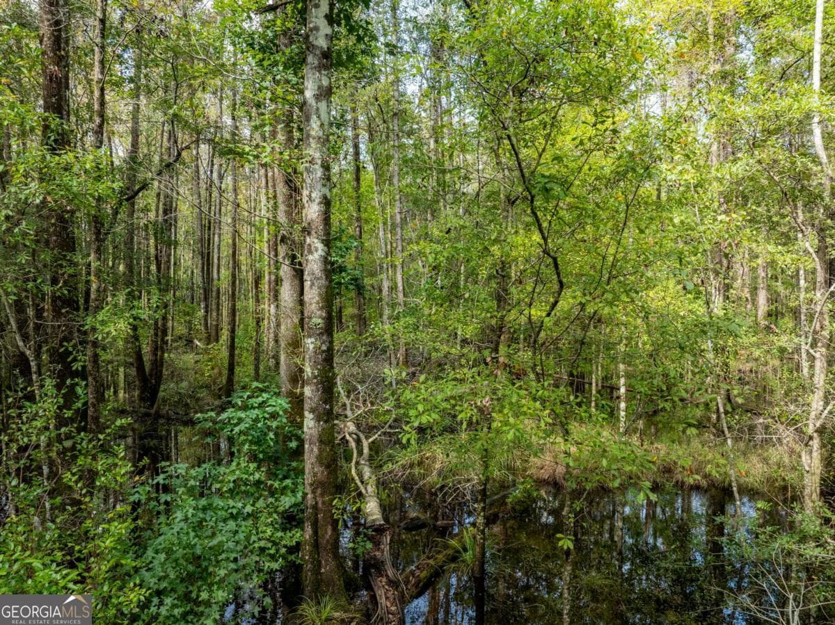 unimproved land for sale at 0 Hodgeville Road, Rincon, GA 31326 — photo 3