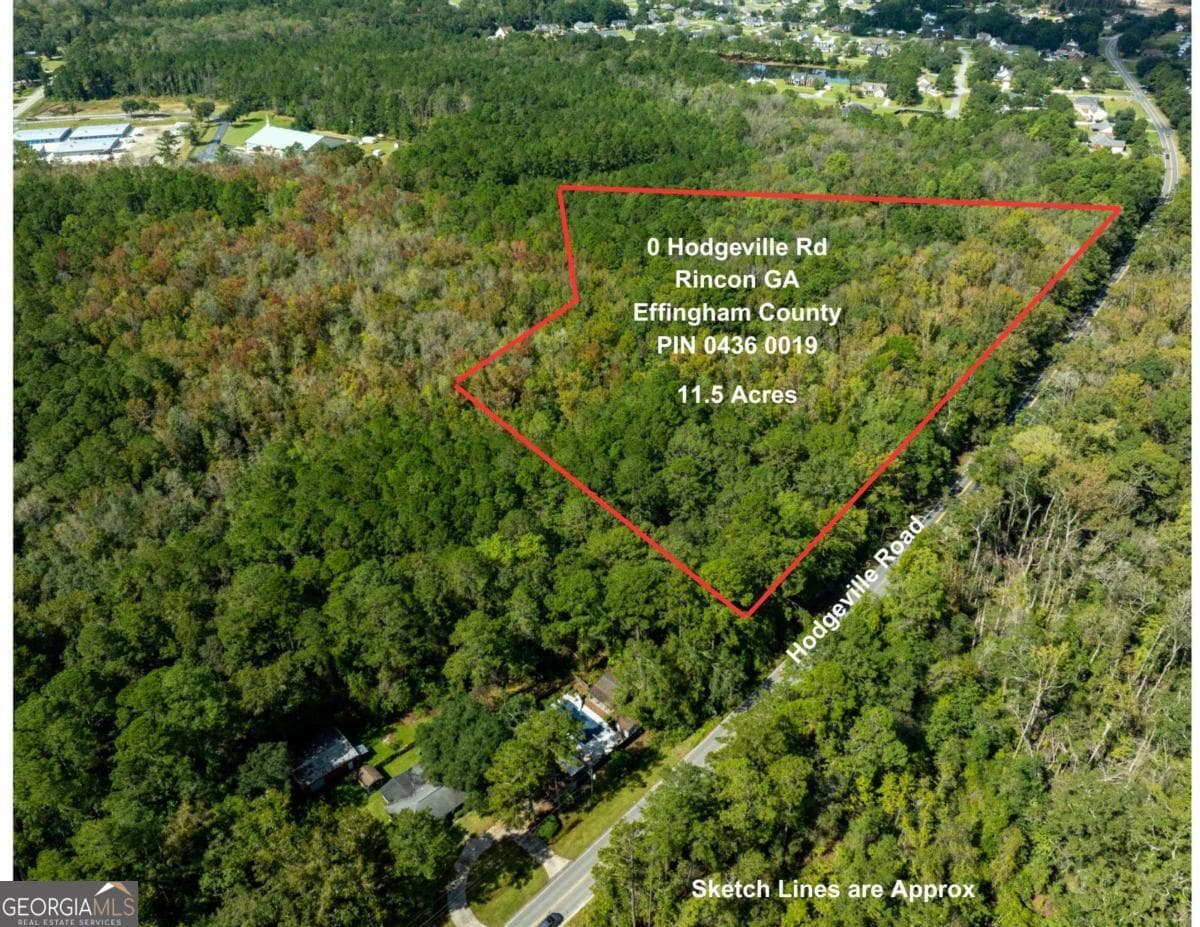 unimproved land for sale at 0 Hodgeville Road, Rincon, GA 31326
