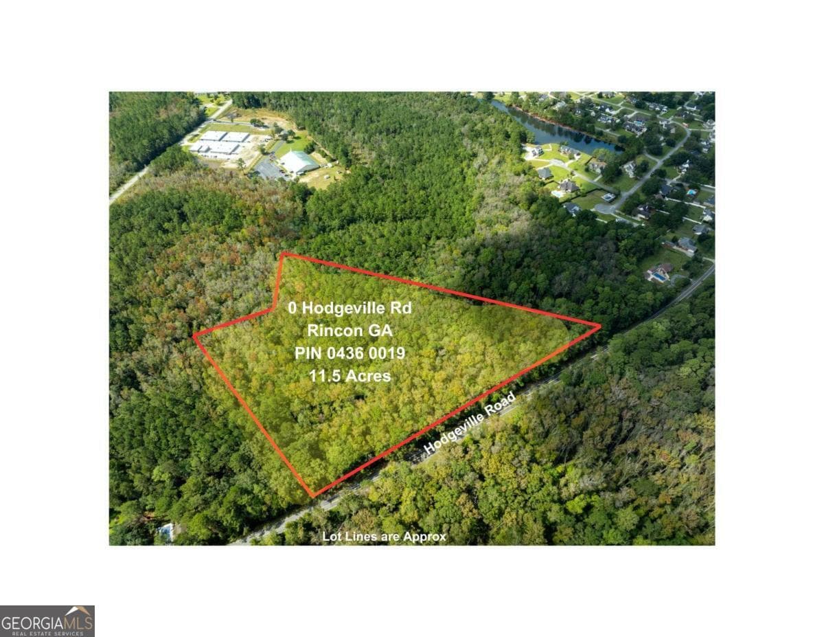 unimproved land for sale at 0 Hodgeville Road, Rincon, GA 31326 — photo 4