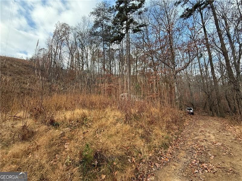 unimproved land for sale at 0 Falling Pines Road, Dahlonega, GA 30533 — photo 2
