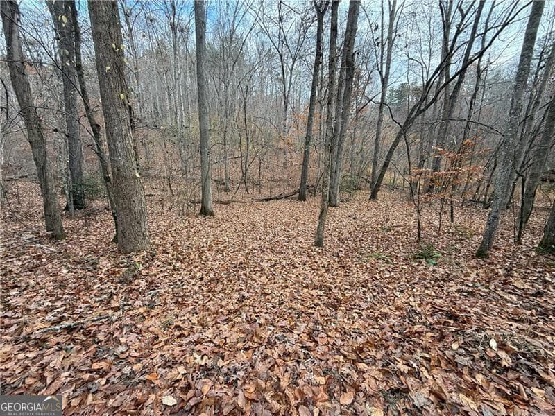unimproved land for sale at 0 Falling Pines Road, Dahlonega, GA 30533 — photo 6