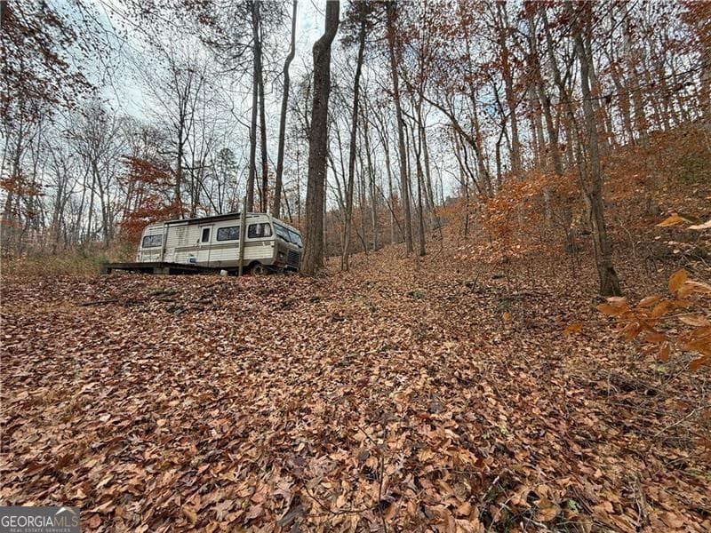 unimproved land for sale at 0 Falling Pines Road, Dahlonega, GA 30533 — photo 7
