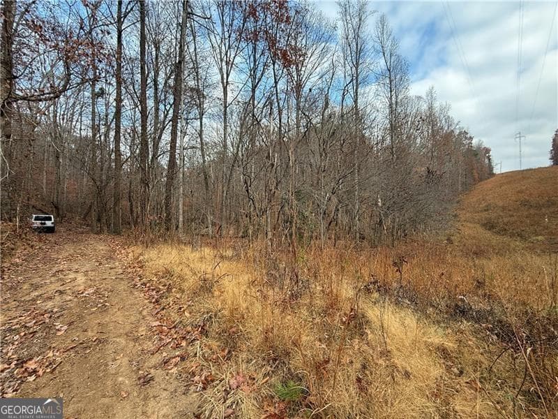unimproved land for sale at 0 Falling Pines Road, Dahlonega, GA 30533 — photo 3
